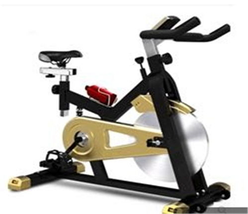 信陽家用跑步機(jī)多少錢一臺規(guī)格齊全 商丘市睢陽區(qū)晨風(fēng)健身器材銷售部