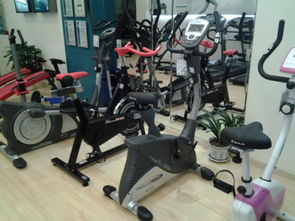 孝感舒華運(yùn)動健身器材健身車813低價促銷圖片,孝感舒華運(yùn)動健身器材健身車813低價促銷高清圖片 孝感市開發(fā)區(qū)舒華健身養(yǎng)身器材經(jīng)營部,