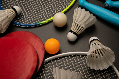 光影中的競技活力 乒乓球與羽毛球健身器材攝影藝術(shù)